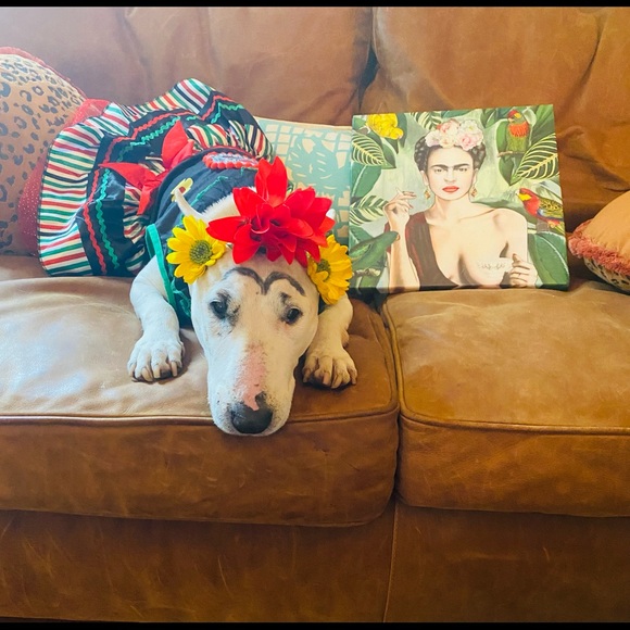 Meet your Posher, Jeanne - Picture 1 of 1